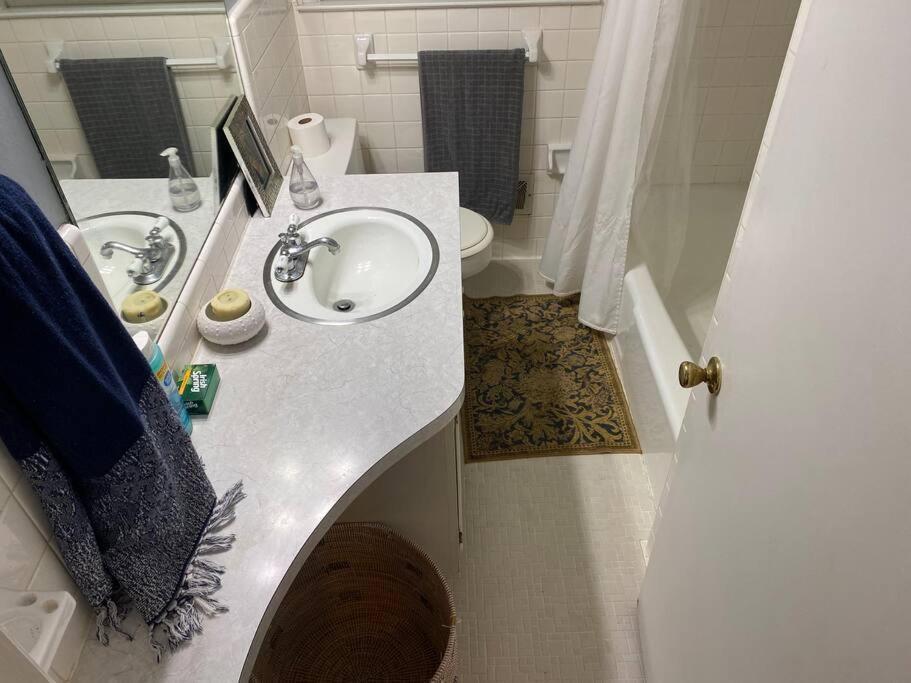 Whole House In Athens, Private, Fenced, Convenient, Close To Downtown Eksteriør bilde